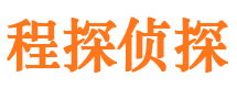 盐池调查公司